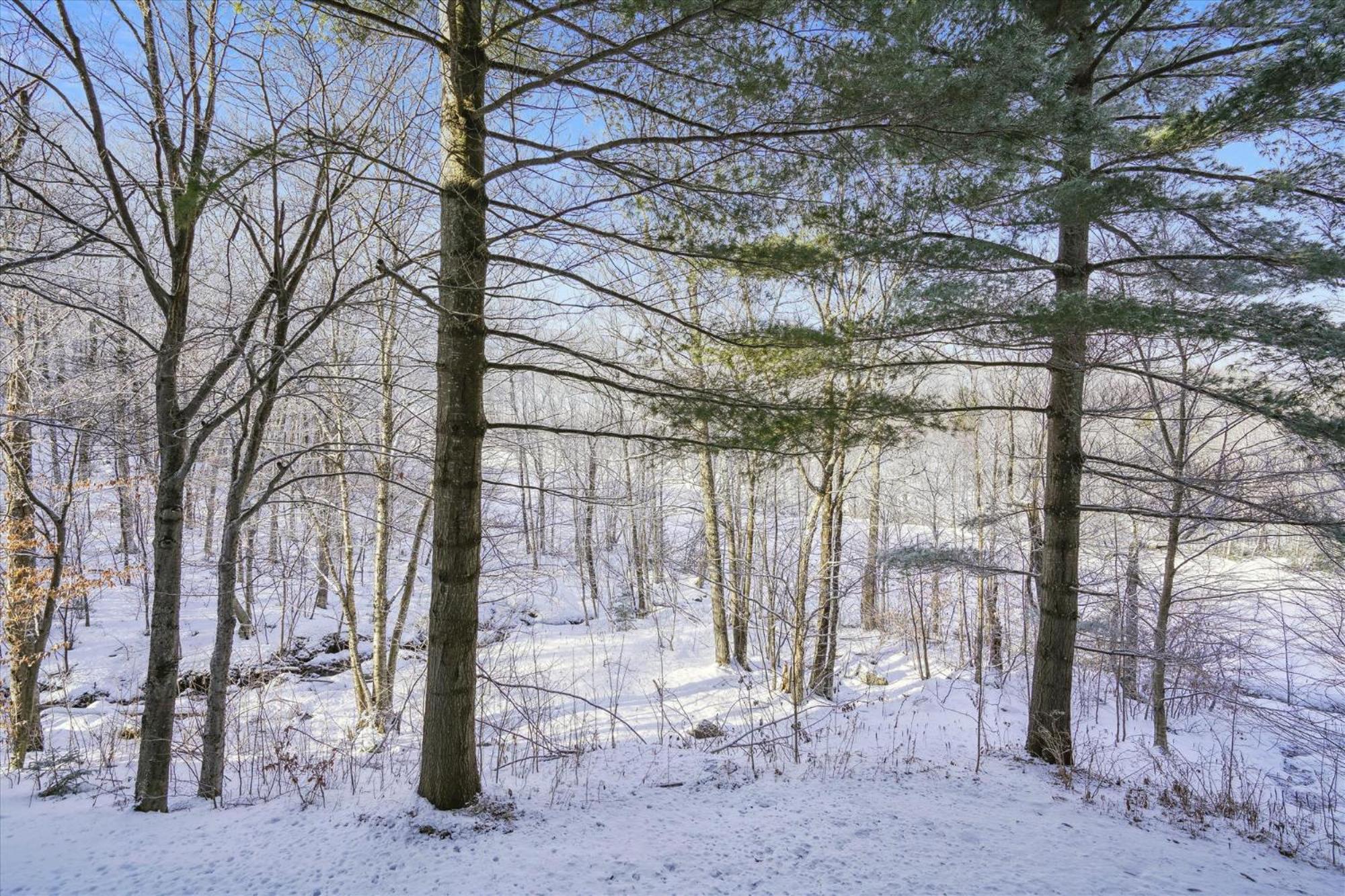 3-Bedroom Condo Ski-In, Shuttle, And Cozy Fireplace Whiffletree I3 Killington Extérieur photo